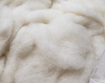 Clun Forest roving white Shave 'Em to Save 'Em