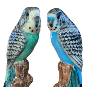 Budgerigar Salt and Pepper Shaker Blue and Green Budgerigar Cruet Hand Painted