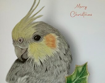 Cockatiel Greeting Card Original Pencil Artwork Cockatiel Christmas Design