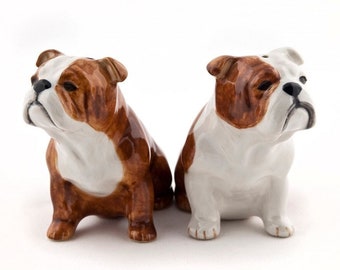 Englische Bulldogge Salz und Pfefferstreuer Englische Bulldogge Hund Salz und Pfeffer Handbemalt Atemberaubend geliefert Geschenk verpackt