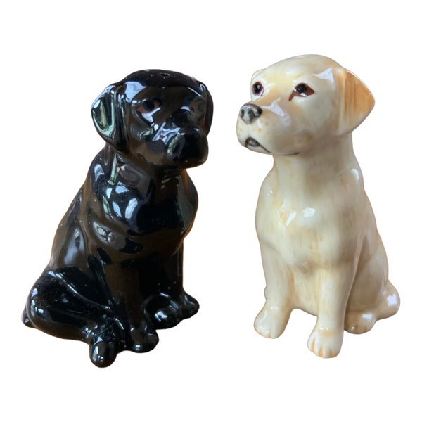 Labrador Salt and Pepper Pots Golden & Black Labrador Salt and Pepper Set - Gift Boxed