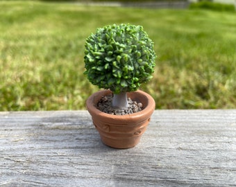 Fairy Garden Potted Bay Tree  - Fairy Miniature Bay Tree