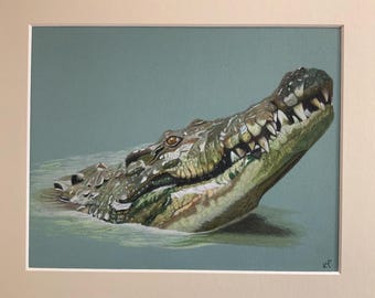Originele kleurpotloodtekening krokodil: Mounted Wildlife Art