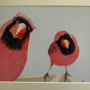 Cardinals Buntstift Original Zeichnung Zeichnung - Freche Cardinals Kunst Zeichnung