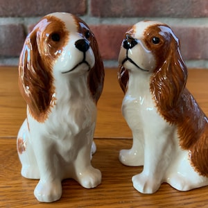 Cavalier King Charles Spaniel Salt and Pepper Pots Blenheim Cavalier Cruet Set image 1