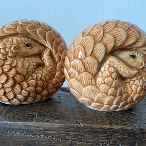 Può includere: Due figurine di animali in ceramica di pangolini arrotolati a palla. Le figurine sono marroni e hanno squame dettagliate.