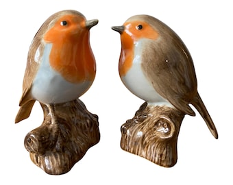 Robin Salt and Pepper Shakers Robin Bird Salt and Pepper Cruet Set