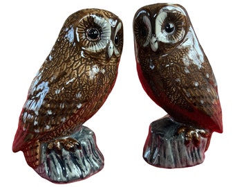 Tawny Owl Salt and Pepper Shakers - Tawny Owl Salt and Pepper Hand Painted Stunning Supplied Gift Boxed