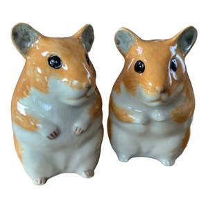 Hamster Salt and Pepper Shakers Hand Painted Smooth Hamster Salt and Pepper