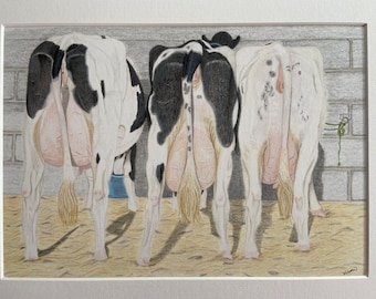 Cows The Business End Art Drawing -  Coloured Pencil Art Drawing - Original not a Print