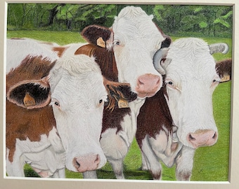 Cows The Trio Art Drawing -  Coloured Pencil Art Drawing - Original not a Print