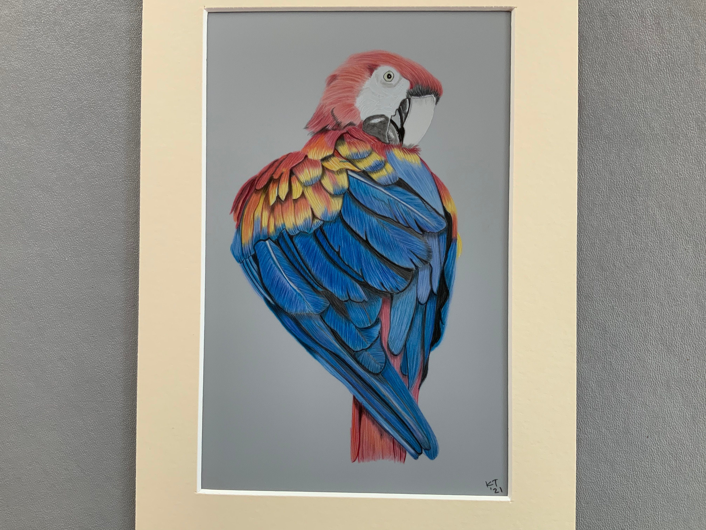 Guacamayo Loro Dibujo Guacamayo Escarlata Lápiz De Colores - Etsy España Guacamayo Loro Dibujo Guacamayo Escarlata Lápiz De Colores - Etsy España