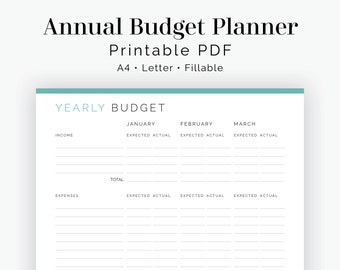 Annual Budget Planner - Fillable - Printable PDF - Finance Planner - Home Management - Business Planner - Instant Download