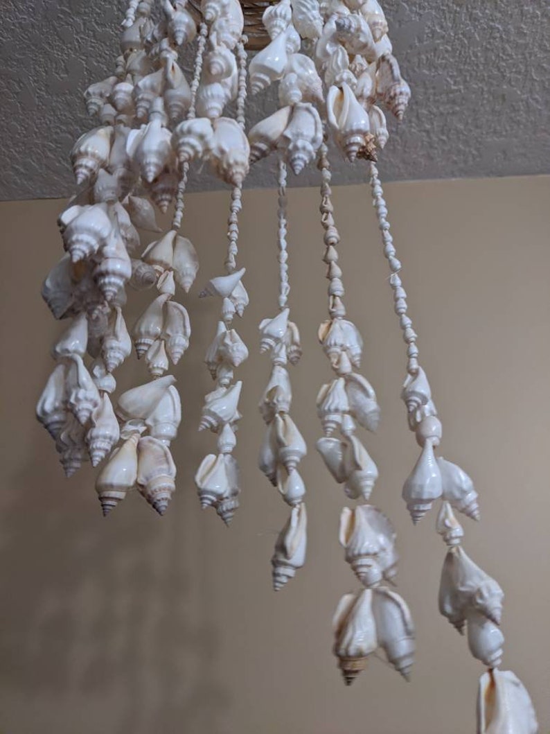 Bohemian Shell Shell Decor Boho Decor Beach Style Seashell | Etsy
