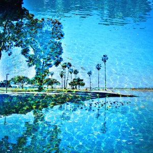 Socal Winter