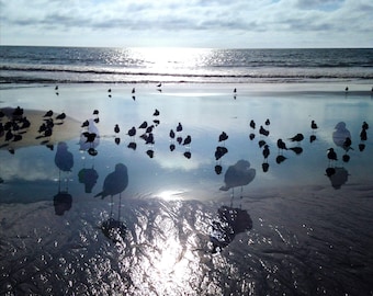Carlsbad 2