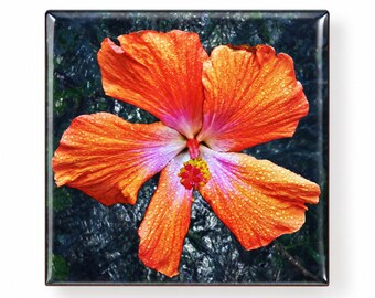 Ember Bloom Magnet