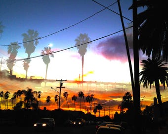 Poles and Palms