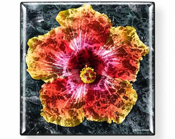 Pacific Bloom Magnet