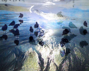Carlsbad Beach