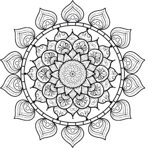 May include: A black and white mandala design with intricate details. The mandala is circular and has a floral pattern.