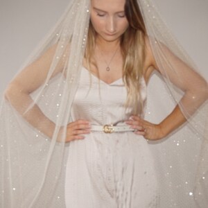 Cream Sparkle Veil image 5