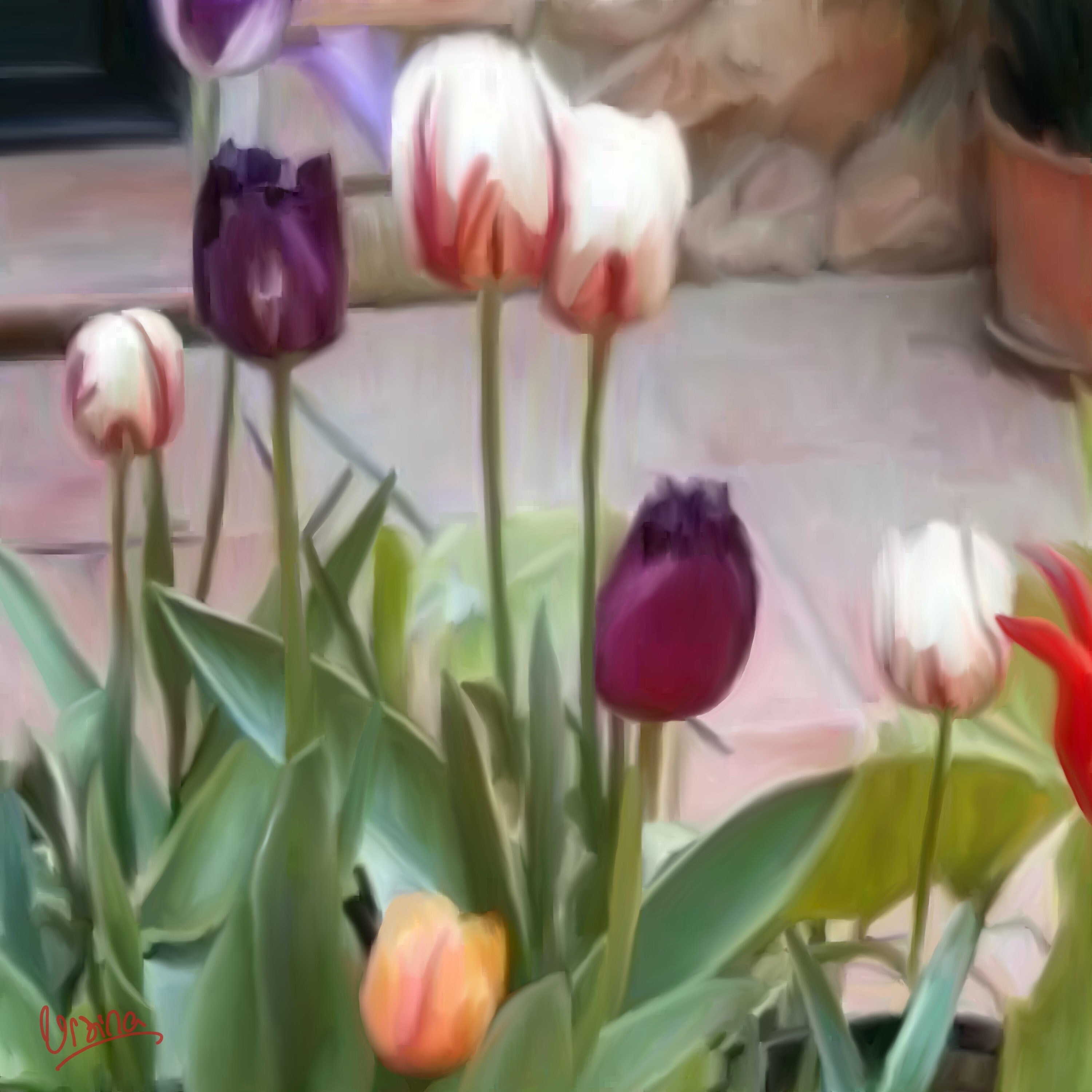 Antonia's Flowers Perfume - Etsy