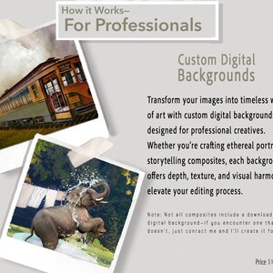 ZZ-How It Works – Backdrops  – For the Professional
