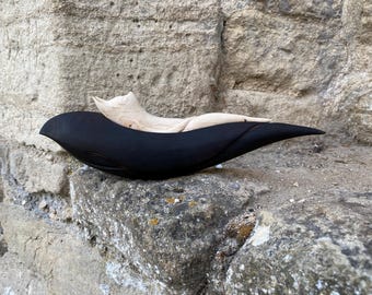White Fox Deaming Black Crow