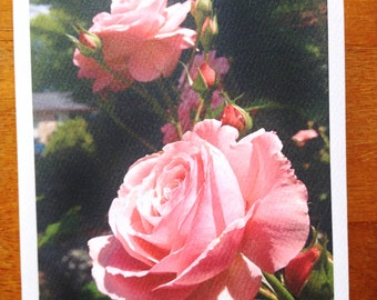 Roses Note Card