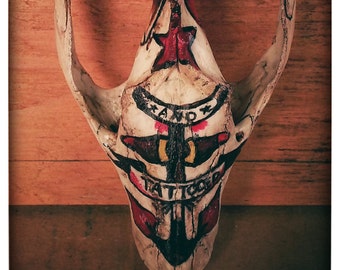 Sailor Jerry Painted Opposum Skull