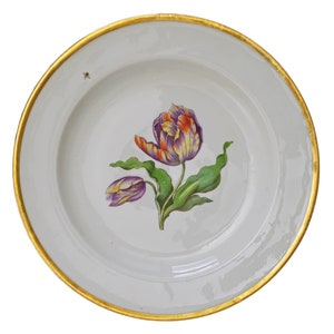 Antique Meissen Botanical Tulip Plate Dish Porcelain Hand Painted - after 1814, German Kingdom of Saxony, Germany