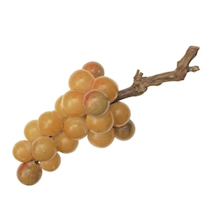 May include: A cluster of golden yellow grapes on a brown vine. The grapes are round and plump, with a slightly translucent appearance.