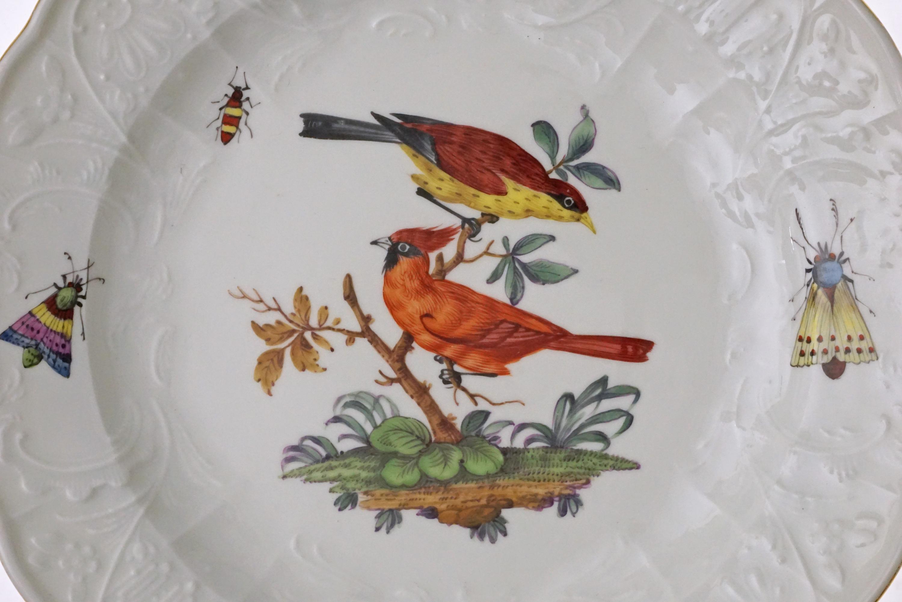 Antique Meissen Bird Insect Plate Ornithological Cabinet Plate Wall ...
