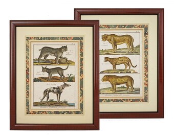May include: Two framed prints of vintage illustrations of wild animals. The prints are in a brown wood frame with a white mat. The first print features a lynx, a cat, and a dog. The second print features a lion, a leopard, and a jaguar. The text on the prints reads "Histoire Naturelle" and "Histoire Naturelle, Quadrupedes".
