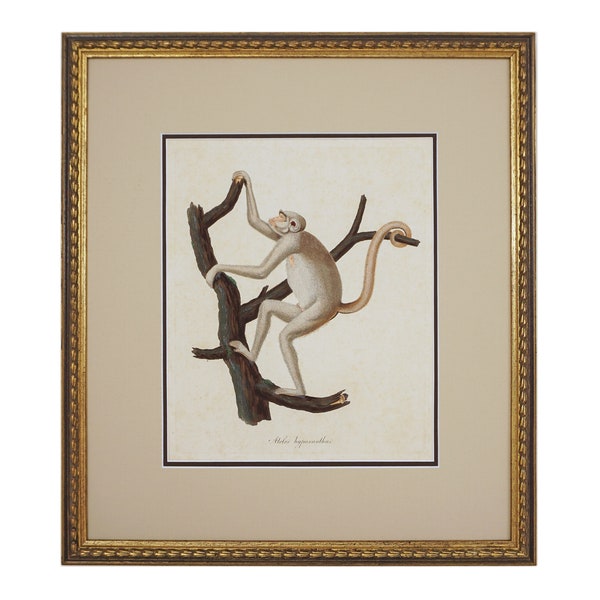 Monkey Climbing Tree Etsy