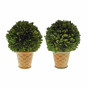 May include: Two artificial boxwood topiary plants. Each plant features a sphere of dense, dark green leaves atop a woven basket-style pot. The pots are a light tan color, and the plants are set against a white background.