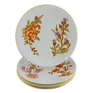 Royal Worcester Botanical Plate Set: Antique English Porcelain, Gilded Flowers