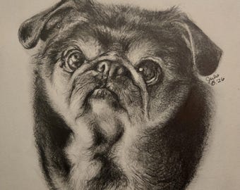 May include: A charcoal drawing of a pug dog head with dark fur, prominent eyes, and wrinkled skin. The artwork features the signature Julie B. 26 on the right side and the name Lily written in cursive at the bottom on a light background.