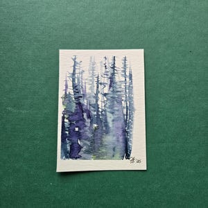 Alberi dell'Oregon, aprile 2025 3 di 4