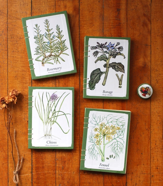 Sweet Woodruff and Borage | Gift Wrap Sweet Woodruff and Borage | Gift Wrap