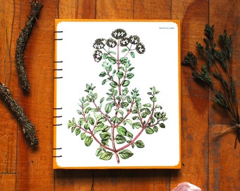 Fine Art Hardcover Notebook 'Pot Marjoram' - Unique Coptic Binding, Sketchbook, One of a Kind