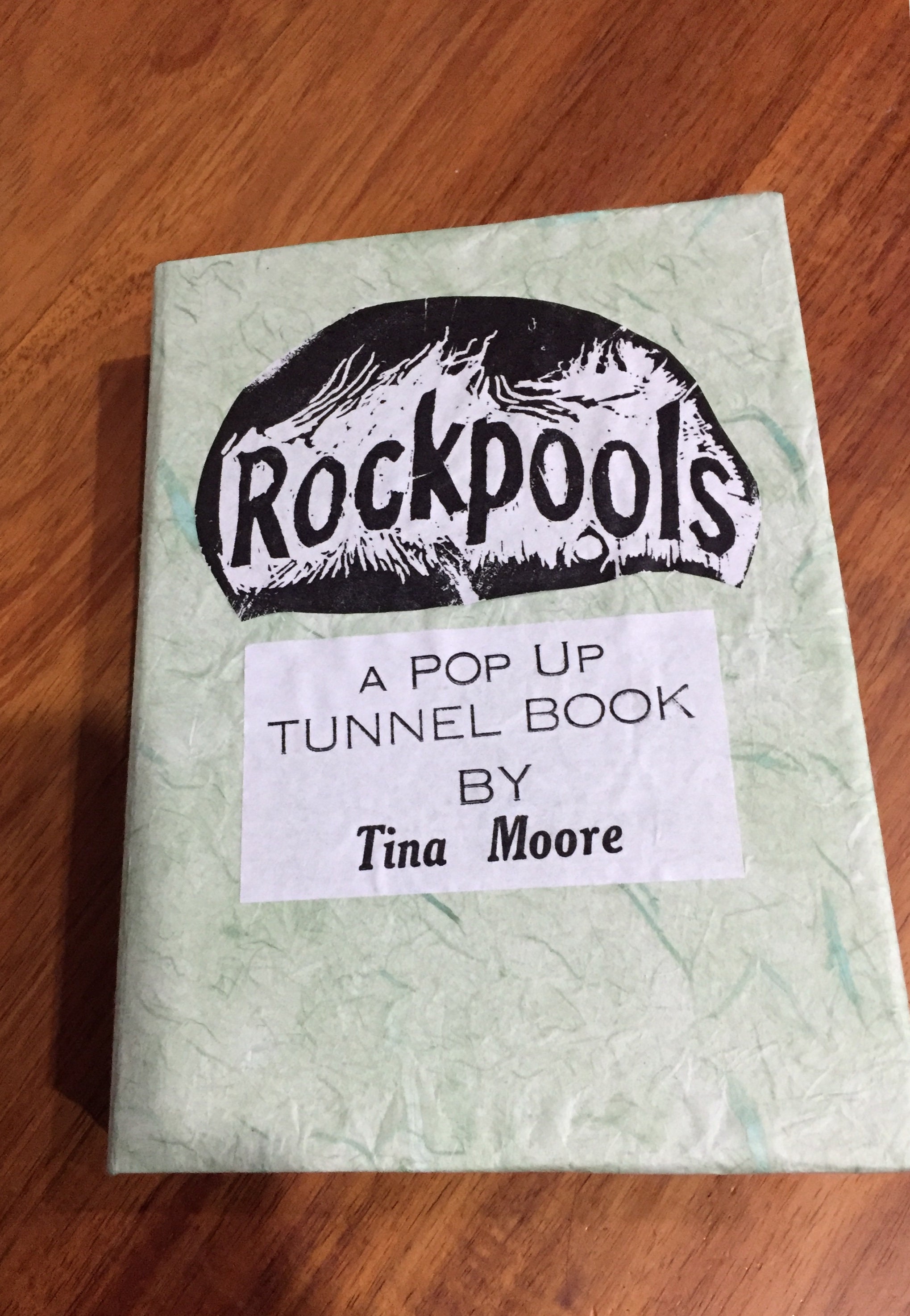 Rockpools a Pop up Tunnel Book - Etsy