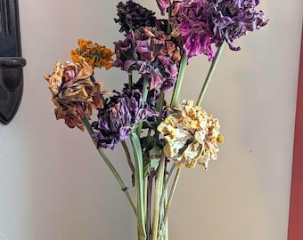 Dried Naturally Grown Zinnia Bunch; Bouquet