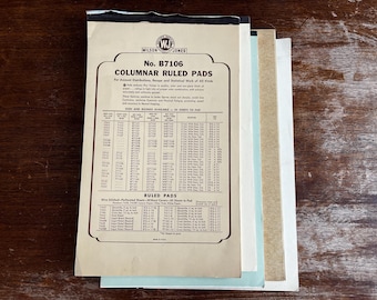 Blocs de notas Wilson Jones antiguos con renglones en columna y similares, 17x11, libros de contabilidad, diarios, lote, efímeros antiguos