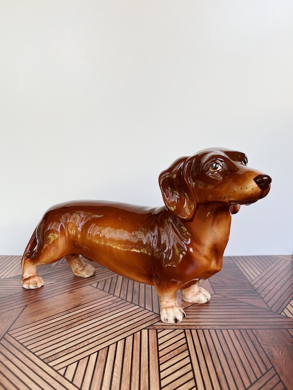 シャフォードのダックスフンド犬、ザ・ケネルクラブ、バスター、大型