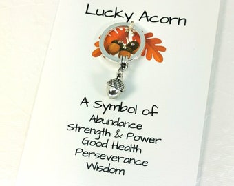 Lucky Acorn Keychain | Acorn keyring | Keychain charm | keyring for Women | keyring display card | Keychain for woman | Keychain card S031