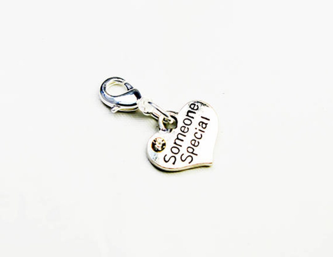 Friendship Clip on Charm | Someone Special Add on Charm | Family Zipper ...