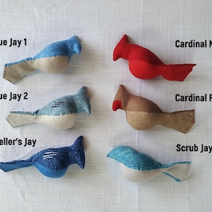 May include: Six handmade felt bird toys, including a blue jay, a Steller's jay, a scrub jay, and a cardinal. The cardinal toys are in male and female colors, red and brown.