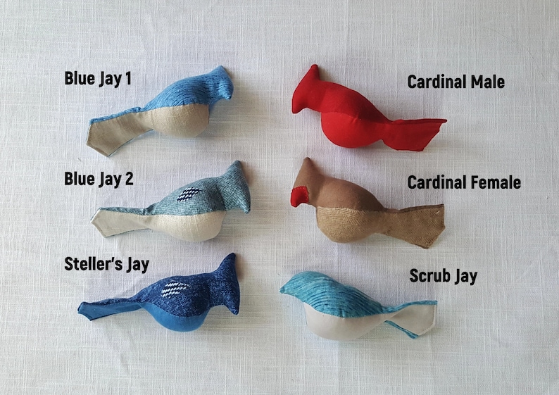 May include: Six handmade felt bird toys, including a blue jay, a Steller's jay, a scrub jay, and a cardinal. The cardinal toys are in male and female colors, red and brown.